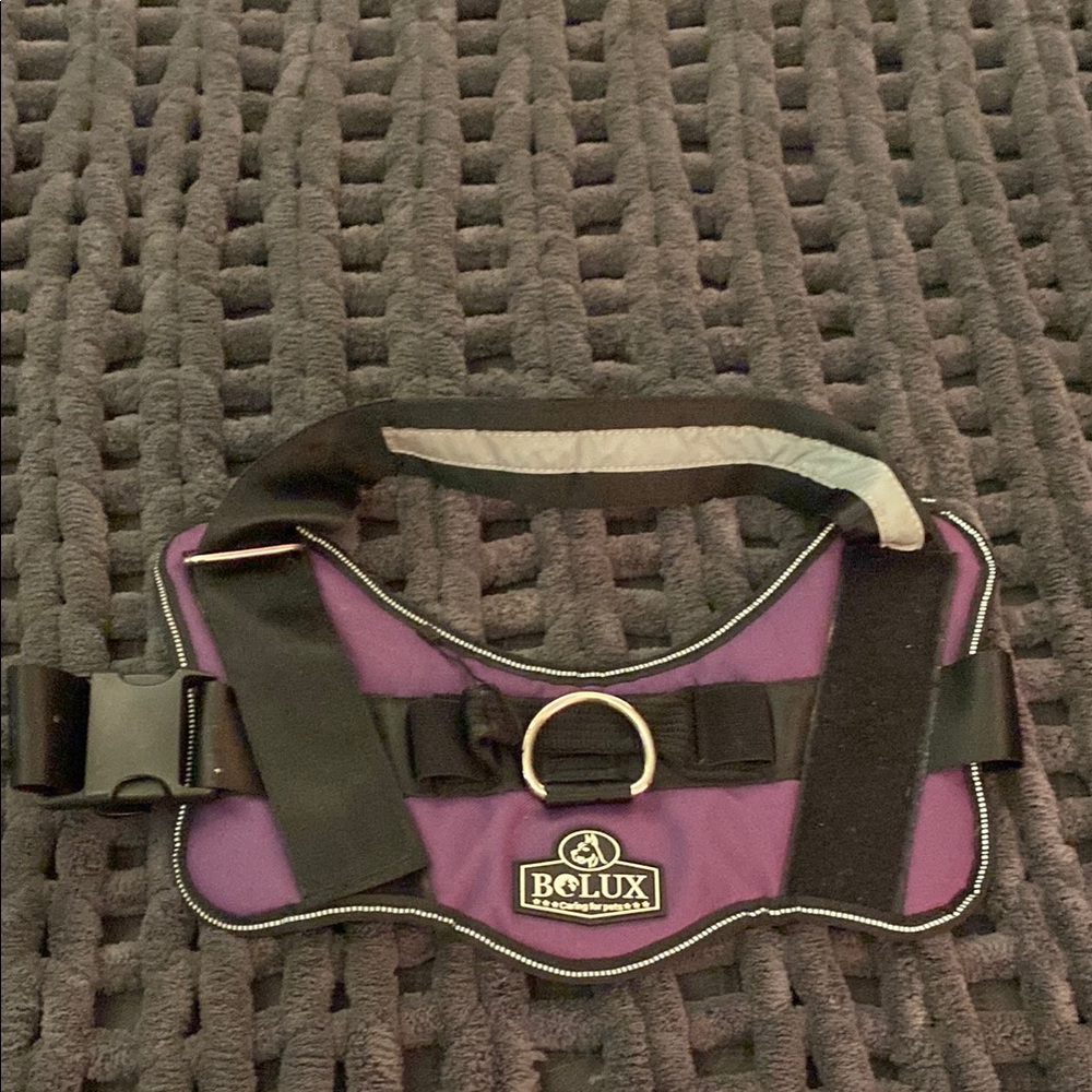 BCLux Purple Dog Harness